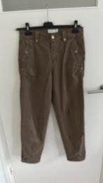 Broek Summum maat 36, Ophalen of Verzenden, Nieuw, Maat 36 (S)