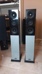 Audio Physic Classic 10, Audio, Tv en Foto, Luidsprekers, Audio physic, Zo goed als nieuw, 60 tot 120 watt, Info@audiophysic.com