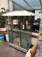 Mooie vogelkooi/voliere incl vogels en toebehoren te kopp!, Dieren en Toebehoren, Ophalen, Zo goed als nieuw, Metaal, Volière