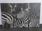 Zebra canvas 3 delig doek foto 3 luik 85 cm x 58 cm, Ophalen of Verzenden, Zo goed als nieuw