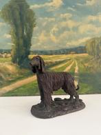 kirkby stephen heredities dog hond afgaanse windhond, Verzamelen, Ophalen of Verzenden, Dier