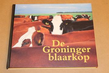 Alles over de Groninger Blaarkop — Een Zeldzaam Oer-ras beschikbaar voor biedingen