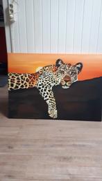 Dieren schilderijen, Ophalen, Zo goed als nieuw, Schilderij, Minder dan 50 cm