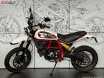 Ducati SCRAMBLER DESERT SLED (bj 2019), Bedrijf, Meer dan 35 kW, Toermotor, 803 cc