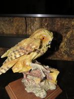 Owl, uil kunstwerk, A. Balcori, wildlife bird sculpture, Ophalen of Verzenden