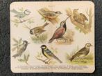 Oud vogelsplaatje, Verzamelen, Gebruikt, 1980 tot heden, Ophalen of Verzenden, Dier
