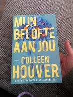 Mijn belofte aan jou Colleen Hoover riktok NL, Ophalen of Verzenden, Nieuw
