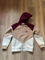 Jijil scuba hooded vest jas traveller jacket it.44 M/L Wow!, Maat 38/40 (M), Overige kleuren, Ophalen of Verzenden, Zo goed als nieuw