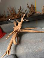Prachtig Stuk XXL Kienhout / Driftwood / Spiderwood Aquarium, Ophalen of Verzenden, Zo goed als nieuw, Plant(en), Steen of Hout
