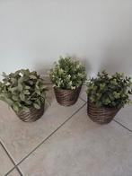 3 Decoratieve Kunstplanten in Pot Hedra Manden Riet, Ophalen of Verzenden, Zo goed als nieuw, Binnen
