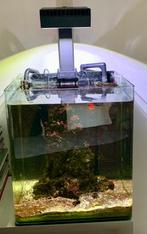 Aqaurium, Dieren en Toebehoren, Vissen | Aquaria en Toebehoren, Ophalen, Zo goed als nieuw, Leeg aquarium