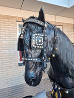 Arreslee, Ophalen of Verzenden