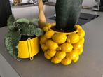 Des Pots citroenenpot, hoogte 18 cm, in perfecte staat, Ophalen, Rond, Binnen, Zo goed als nieuw