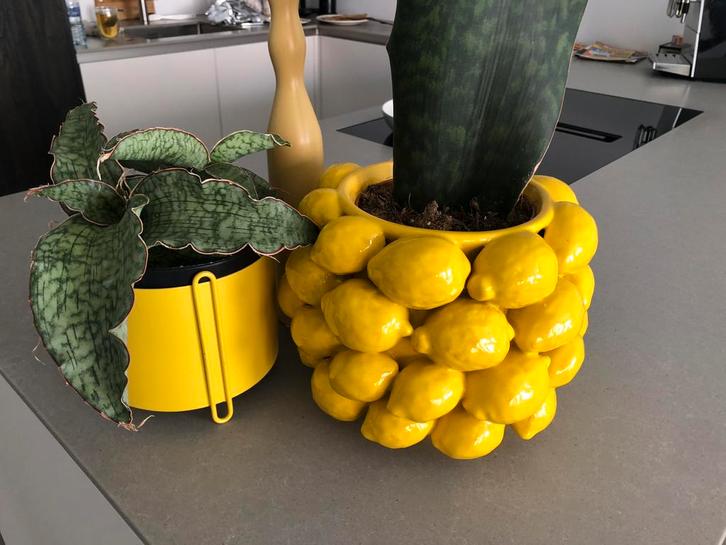 Des Pots citroenenpot, hoogte 18 cm, in perfecte staat, Tuin en Terras, Bloempotten, Zo goed als nieuw, Aardewerk, Binnen, Minder dan 40 cm