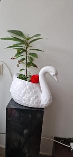 Groot zwaan bloempot met avocado plant, Ophalen of Verzenden, Zo goed als nieuw