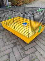 Konijnen-/caviahok voor binnen, Kooi, Gebruikt, Ophalen, Minder dan 60 cm