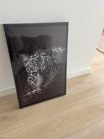 Panter schilderij nieuw in verpakking, Huis en Inrichting, Ophalen of Verzenden, Nieuw, Schilderij, Minder dan 50 cm
