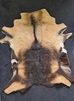 Geitenhuid Bruin gemelieerd, Ophalen, 50 tot 100 cm, Overige kleuren, 50 tot 100 cm