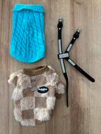 Leuk setje voor klein mini hondje of kleine puppy, Ophalen of Verzenden, Nieuw