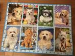 Ravensburger Puzzel Honden 1500 stuks, Ophalen of Verzenden, 500 t/m 1500 stukjes, Zo goed als nieuw, Legpuzzel