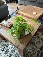 Kersenhouten Salontafels - Set van 2, Gebruikt, 50 tot 100 cm, Vierkant, Kersenhout