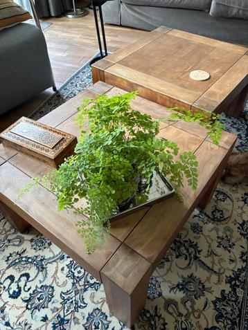Kersenhouten Salontafels - Set van 2 beschikbaar voor biedingen