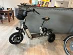 E-BikeBoard Elektrische Driewieler Scooter, Fietsen en Brommers, Ophalen of Verzenden, Gebruikt