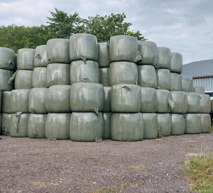 Paarden hooi midibalen 1e snee 2025, Dieren en Toebehoren, Dierenvoeding, Vee, Ophalen