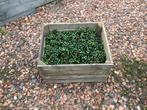 Partij Houten kisten vol met groene steekbesjes - 10 kisten, Ophalen, Nieuw