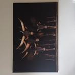 Canvas / schilderij Watussi koeien, Ophalen, Schilderij, 75 cm of meer