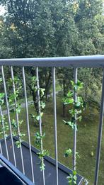 Leuk voor op bv de balkon, Antiek en Kunst, Ophalen of Verzenden