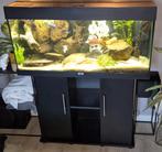 Juwel Rio 180 Aqarium led, Ophalen, Gebruikt, Leeg aquarium