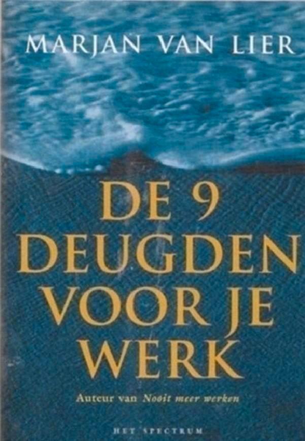 Marjan Van Lier De 9 deugden voor je werk, Boeken, Economie, Management en Marketing, Zo goed als nieuw, Management, Ophalen of Verzenden