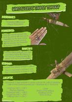 Wandelende takken, Dieren en Toebehoren, Reptielen en Amfibieën, Overige soorten, 0 tot 2 jaar