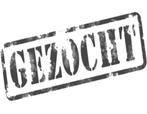 Gezocht - koppel agapornis, Meerdere dieren, Dwergpapegaai of Agapornis