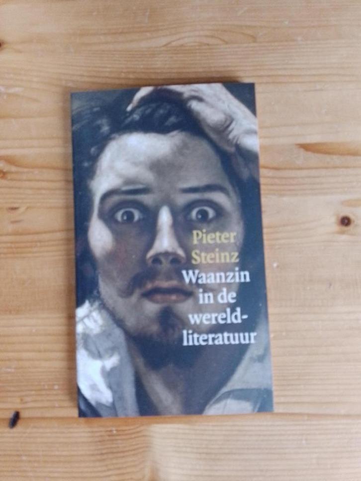 Waanzin in de wereldliteratuur    Pieter Steinz, Boeken, Literatuur, Zo goed als nieuw, Nederland, Ophalen of Verzenden