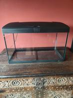 Aquarium Capri 60 Liter., Dieren en Toebehoren, Vissen | Aquaria en Toebehoren, Ophalen