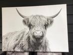 Schotse hooglander op canvas, Huis en Inrichting, Woonaccessoires | Schilderijen, Tekeningen en Foto's, Verzenden, Zo goed als nieuw