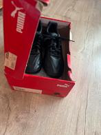 Nieuwe voetbalschoenen Puma king 43, Sport en Fitness, Voetbal, Maat XS of kleiner, Schoenen, Nieuw, Ophalen of Verzenden