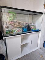 Hamsterhok glas 100 x 40 x 50 plus kastje, Dieren en Toebehoren, Knaagdieren en Konijnen | Hokken en Kooien, Ophalen, Zo goed als nieuw