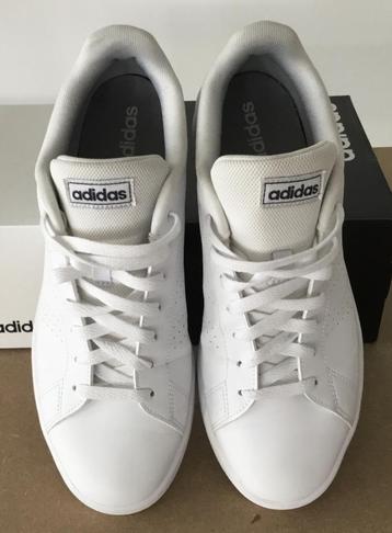 Adidas Advantage Base schoenen MT beschikbaar voor biedingen
