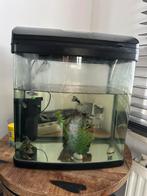 Vissen met alle accesoires, Ophalen, Zo goed als nieuw