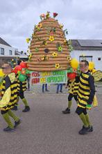 Bijenkorf Carnaval loopgroep., Ophalen, Zo goed als nieuw, Carnaval, Kleding