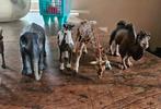 Schleich dieren nieuwstaat, Ophalen of Verzenden, Zo goed als nieuw, Beeldje of Figuurtje
