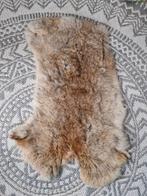 Vacht - Mooie decoratie, Huis en Inrichting, Minder dan 50 cm, Gebruikt, Ophalen of Verzenden, Minder dan 50 cm