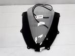 ZX9R 2000 - 2001 Kawasaki Scherm D1-27309