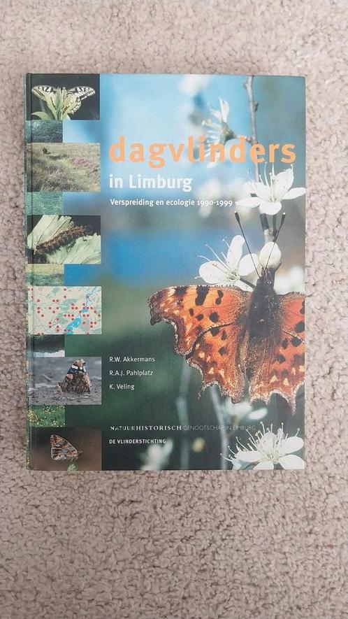 Dagvlinders in Limburg Natuurhistorisch Genootschap zgan, Boeken, Natuur, Zo goed als nieuw, Ophalen of Verzenden