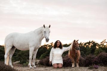 wandelpony in soest! beschikbaar voor biedingen