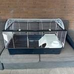 Binnehok konijn, Dieren en Toebehoren, Kooi, Minder dan 75 cm, Konijn, Ophalen