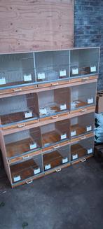 Te koop 4x 3  broedkooien, Dieren en Toebehoren, Ophalen, Zo goed als nieuw, Hout, Broedkooi of Kweekkooi